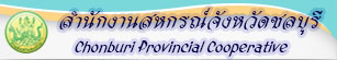 logo chonburi1