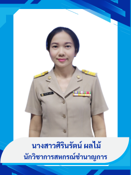 นางสาวศิรินรัตน์ ผลไม้