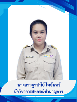 นางสาวฐาปนีย์  โตจันทร์