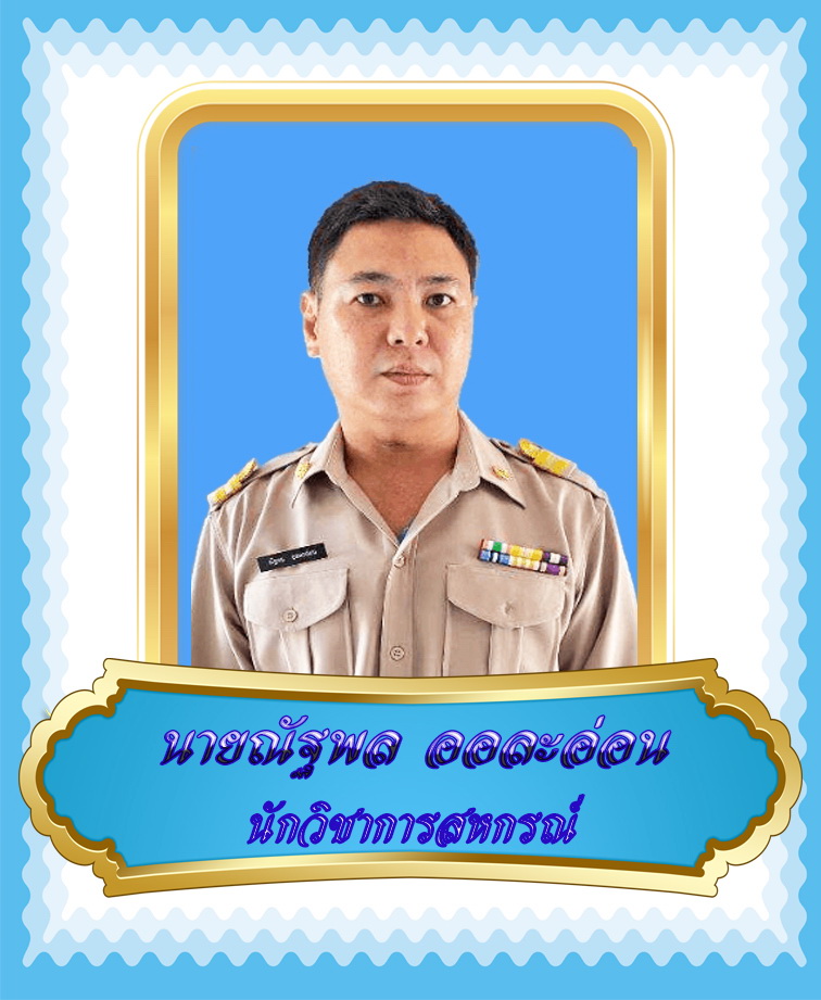 นายณัฐพล  ออละอ่อน