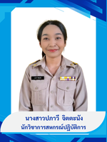นางสาวปภาวี  จิตตะนัง