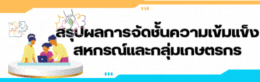 สรุปผลการจัดชั้นความเข้มแข็ง