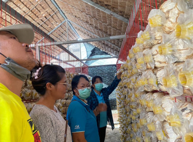 โครงการพัฒนาศักยภาพการดำเนินธุรกิจของสหกรณ์ กลุ่มเกษตรกร ... พารามิเตอร์รูปภาพ 12