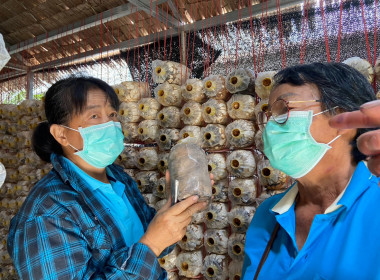 โครงการพัฒนาศักยภาพการดำเนินธุรกิจของสหกรณ์ กลุ่มเกษตรกร ... พารามิเตอร์รูปภาพ 13