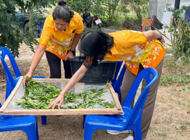 จัดโครงการส่งเสริมและพัฒนาอาชีพเพื่อแก้ไขปัญหาที่ดินทำกินของเกษตรกรภายใต้โครงการจัดที่ดินทำกินให้ชุมซนตามนโยบายรัฐบาลจังหวัดชลบุรี ... พารามิเตอร์รูปภาพ 1