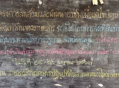 จัดโครงการส่งเสริมและพัฒนาอาชีพเพื่อแก้ไขปัญหาที่ดินทำกินของเกษตรกรภายใต้โครงการจัดที่ดินทำกินให้ชุมซนตามนโยบายรัฐบาลจังหวัดชลบุรี ... พารามิเตอร์รูปภาพ 5