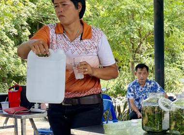 จัดโครงการส่งเสริมและพัฒนาอาชีพเพื่อแก้ไขปัญหาที่ดินทำกินของเกษตรกรภายใต้โครงการจัดที่ดินทำกินให้ชุมซนตามนโยบายรัฐบาลจังหวัดชลบุรี ... พารามิเตอร์รูปภาพ 31