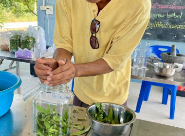 จัดโครงการส่งเสริมและพัฒนาอาชีพเพื่อแก้ไขปัญหาที่ดินทำกินของเกษตรกรภายใต้โครงการจัดที่ดินทำกินให้ชุมซนตามนโยบายรัฐบาลจังหวัดชลบุรี ... พารามิเตอร์รูปภาพ 32