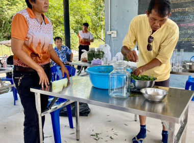 จัดโครงการส่งเสริมและพัฒนาอาชีพเพื่อแก้ไขปัญหาที่ดินทำกินของเกษตรกรภายใต้โครงการจัดที่ดินทำกินให้ชุมซนตามนโยบายรัฐบาลจังหวัดชลบุรี ... พารามิเตอร์รูปภาพ 41