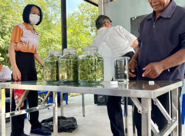 จัดโครงการส่งเสริมและพัฒนาอาชีพเพื่อแก้ไขปัญหาที่ดินทำกินของเกษตรกรภายใต้โครงการจัดที่ดินทำกินให้ชุมซนตามนโยบายรัฐบาลจังหวัดชลบุรี ... พารามิเตอร์รูปภาพ 42