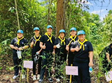 กิจกรรมจิตอาสาโครงการนำร่องการปลูกไผ่หนามเป็นรั้วธรรมชาติ ... พารามิเตอร์รูปภาพ 3