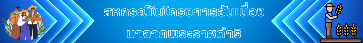 รองนายทะเบียนสหกรณ์ 5