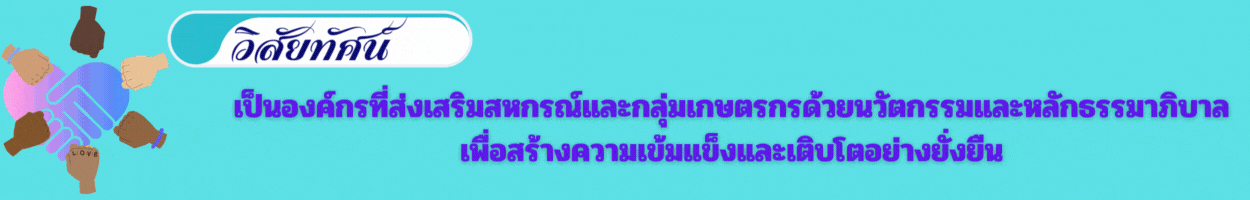 วิสัยทัศน์